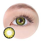 Sweety Firefly Yellow