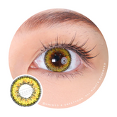 Sweety Poppy Yellow