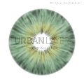 Urban Layer Jolie Green