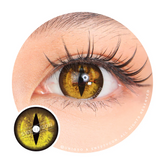 Sweety Crazy Gold Demon Eye / Cat Eye (New)