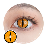 Sweety Crazy Gold Demon Eye / Cat Eye