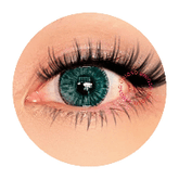 Urban Layer New York Deep Green - NEW