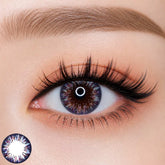 Royal Candy Amie 4 Tone Color Lens (0.00 only)