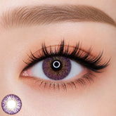 Royal Candy Gothic 3 Tone Violet