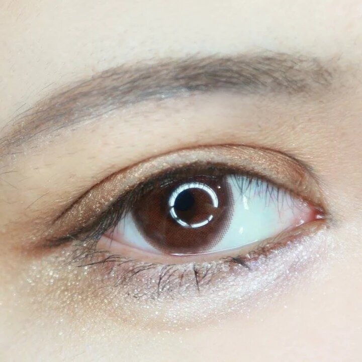 kazzue basic pure choco colored contact lens close-up