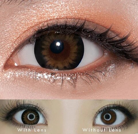 kazzue classic brown colored contact lens