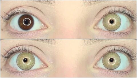kazzue gorgeous brown colored contact lens