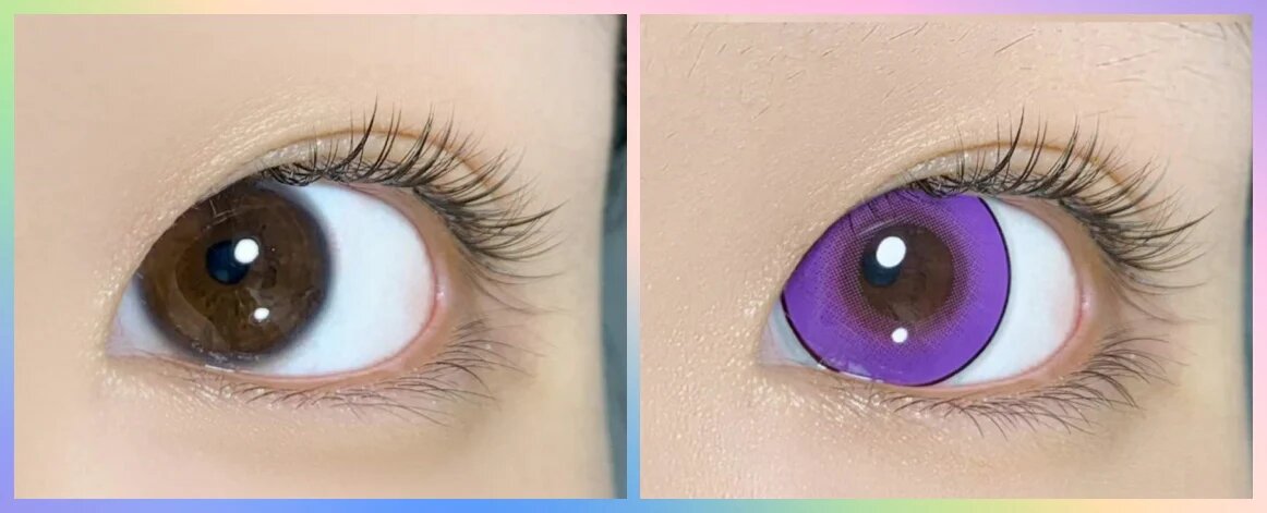 kazzue intense pop purple colored contact lens