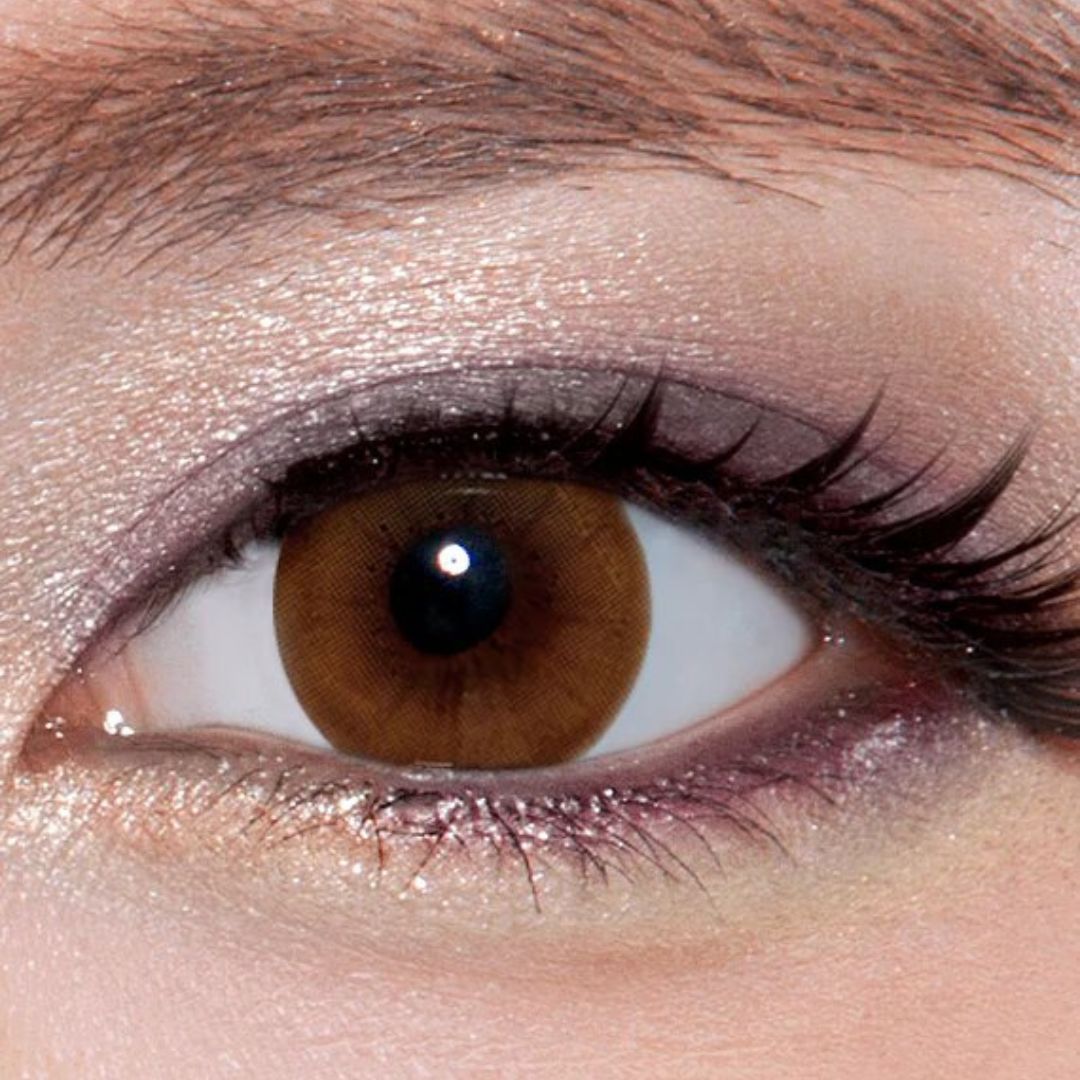 kazzue legato brown colored contact lens closeup