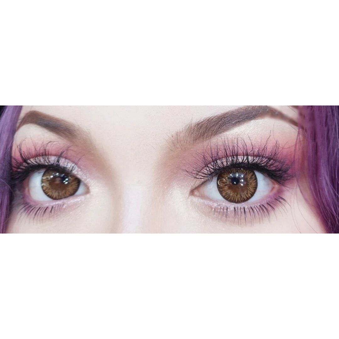 kazzue premier brown colored contact lens closeup
