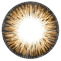kazzue premier brown colored contact lens