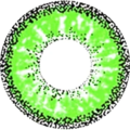 kazzue vivid brilliant green colored contact lens
