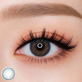 Vassen Lily 3 Tone Blue