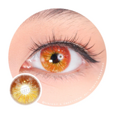 Sweety Crazy Lollipop Brown