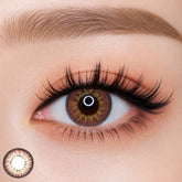 Royal Candy Puffy 3 tone Amber Brown