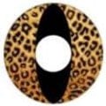 EOS Halloween Leo Cat - Candylens