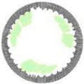 EOS Tear Green - Candylens