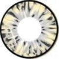 Vassen Lollipop Grey Color Contact Lens