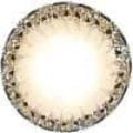 Vassen Sandy Brown Color Contact Lens