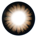 kazzue classic brown colored contact lens