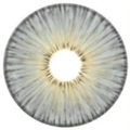 kazzue gorgeous gray colored contact lens